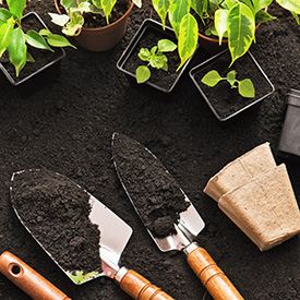 Gardening Products and Equipment at Langlands Garden Centre