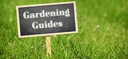 Langlands Gardening Guides