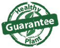 Langlands Plant Guarantee