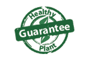 Langlands Plant Guarantee