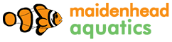Maidenhead Aquatics