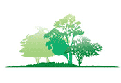 Langlands Environmental Policy