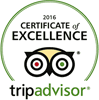 Trip Advisor